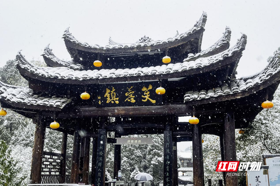 图片3.png 图片3.png