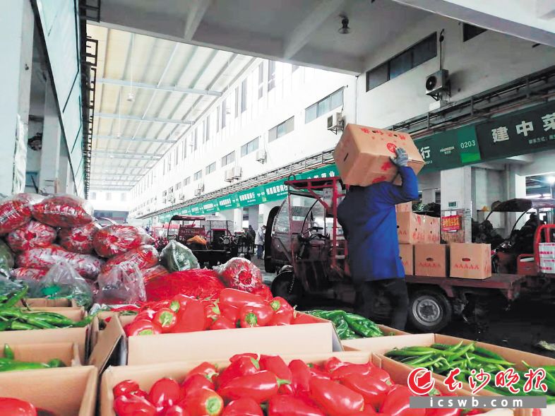 长沙海吉星蔬菜供应充足，品种丰富。长沙晚报全媒体记者 刘捷萍 摄