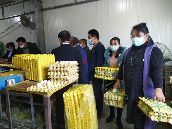 买蛋现场6.jpg