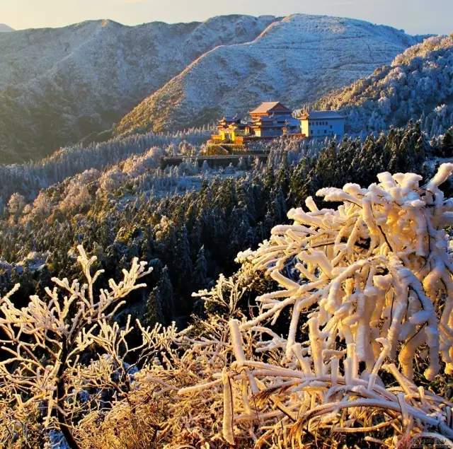 阳明山雪景图片