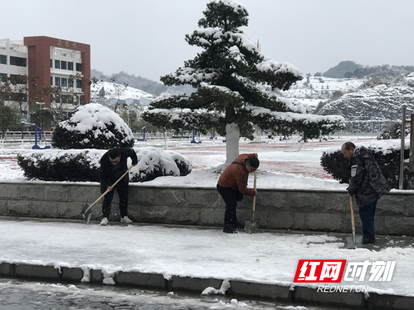 图片6.jpg