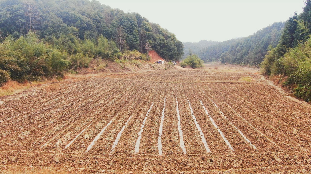 Still1231_00007_副本.jpg