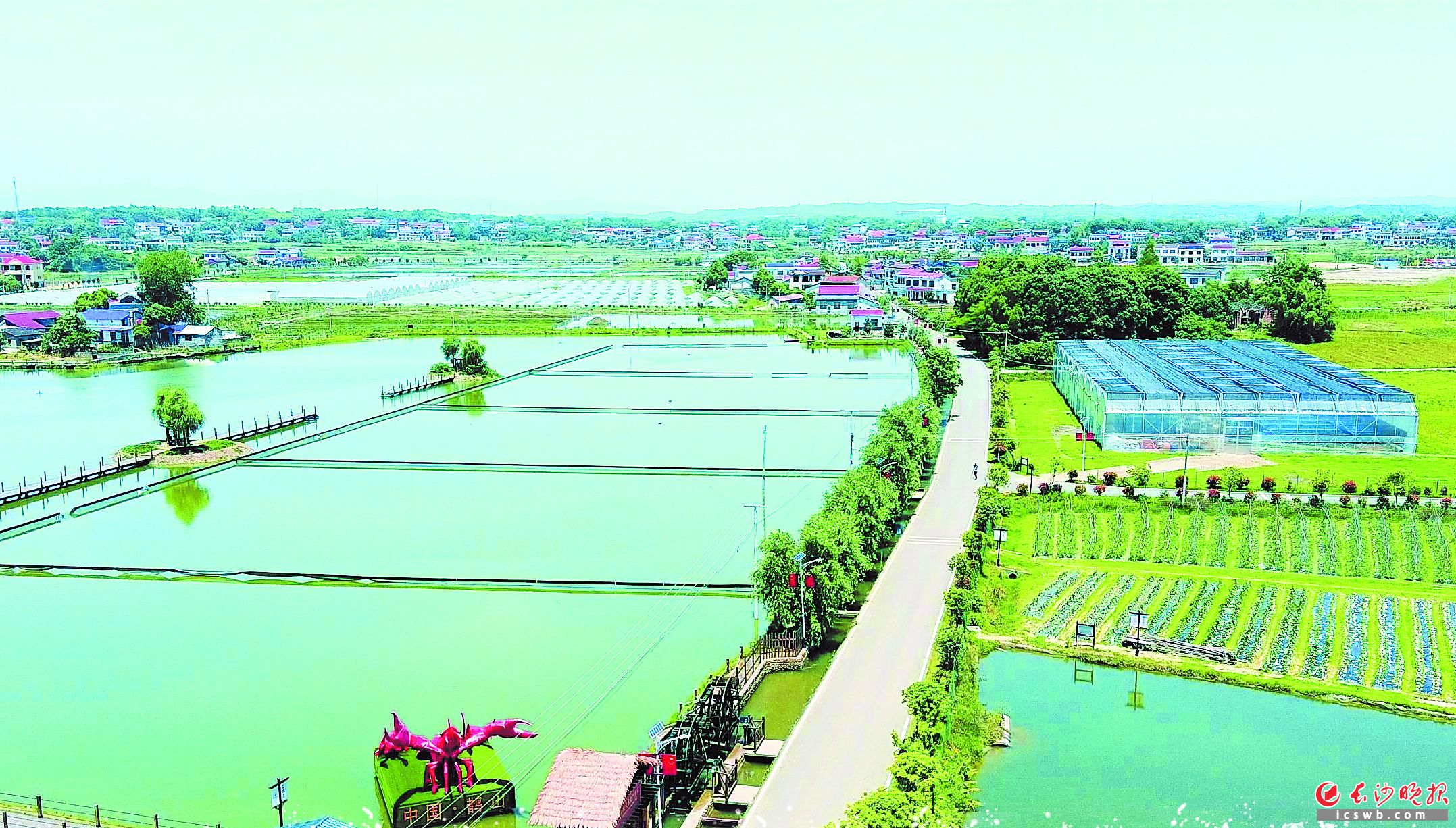 　　在大成桥镇鹊山村，特色水产养殖成为一大富民产业。