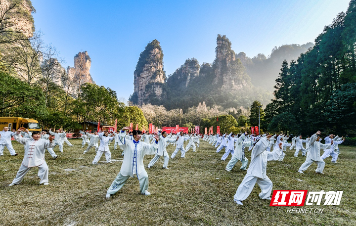 图片7.png 图片7.png