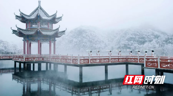 图片 图片