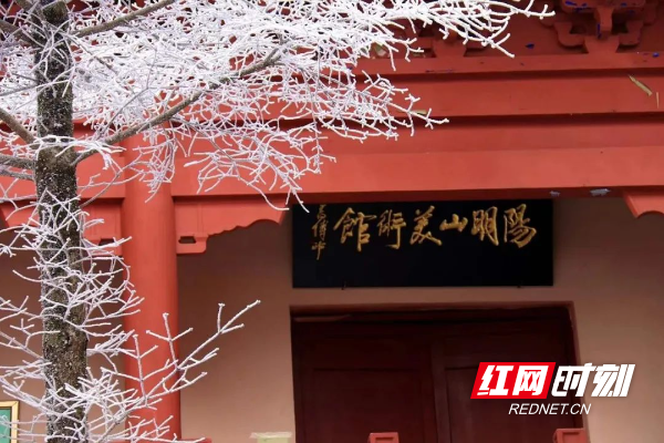 图片 图片