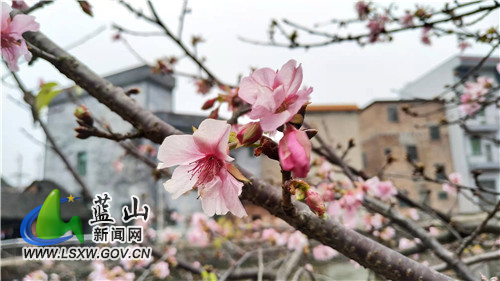 微信图片_20220104165528.jpg