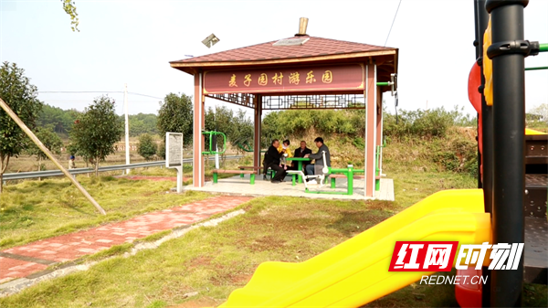 冷水滩麦子园村：党建引领 描绘乡村振兴新画卷 (5).png
