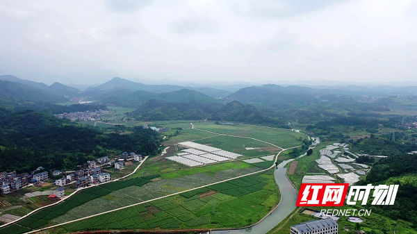 湖南新田：东升农场总部经济项目效应初显 出口额达5500万美元