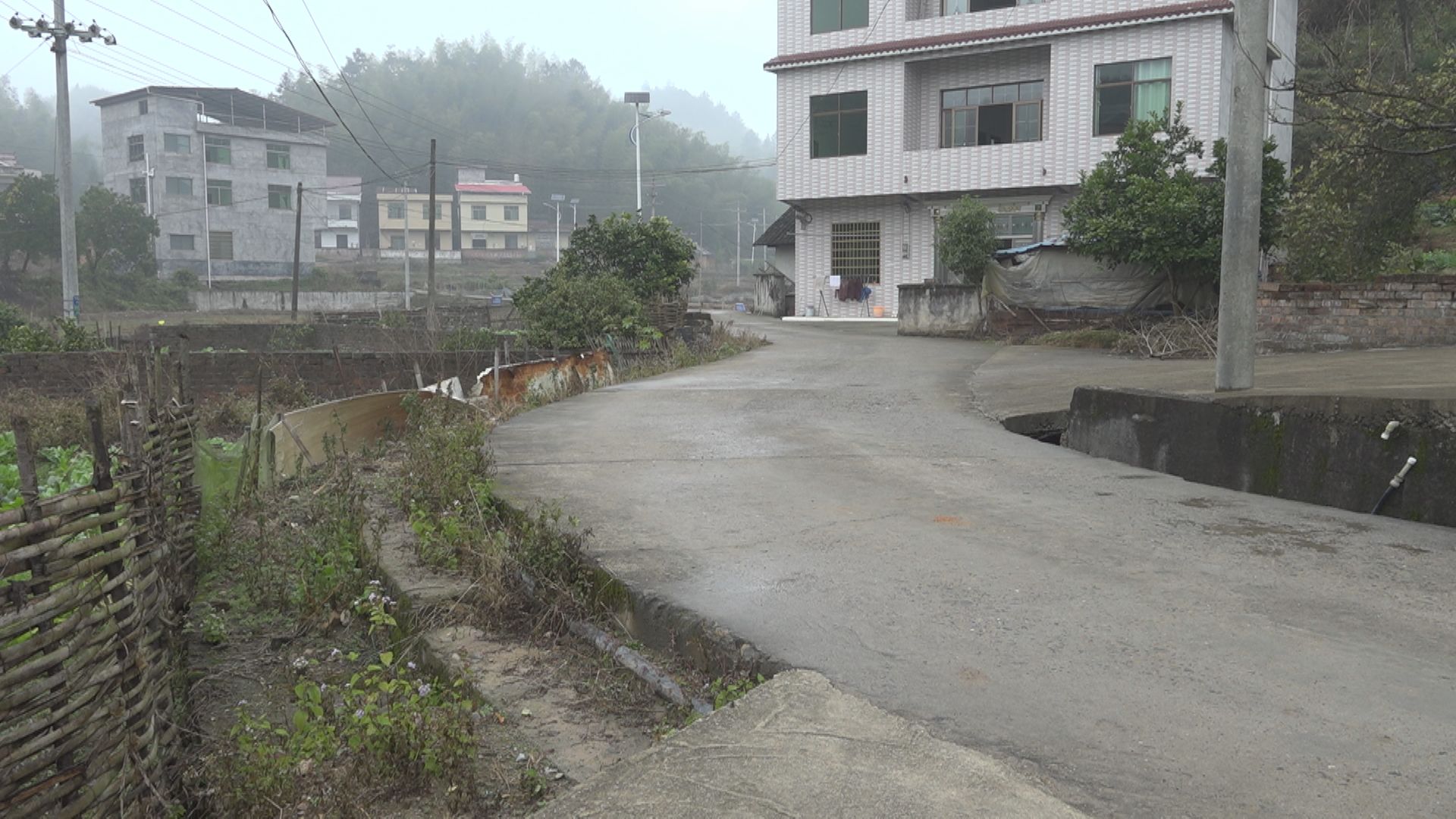 Still0107_00050.jpg
