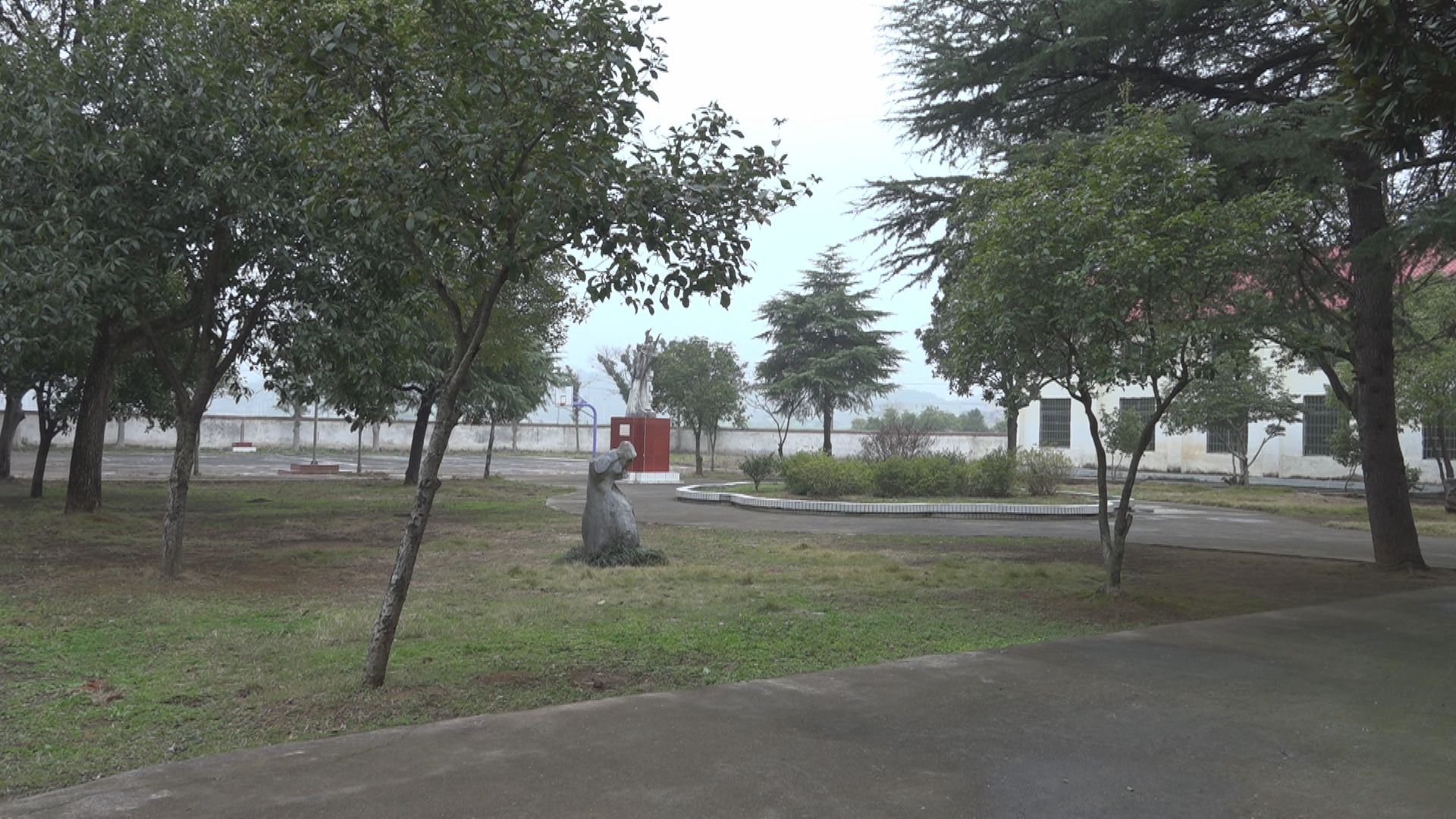 Still0107_00052.jpg