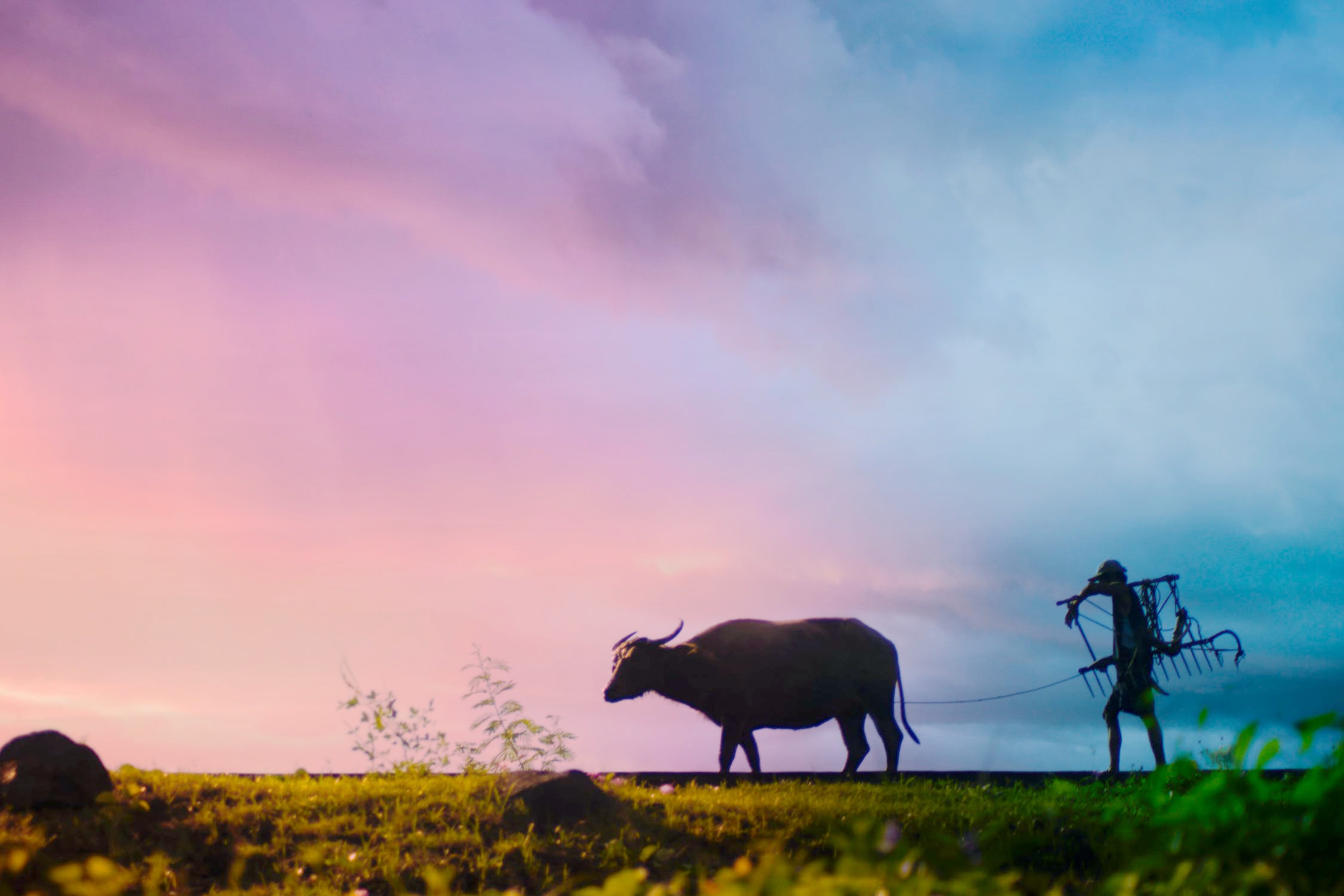 pexels-photo-708798.jpeg pexels-photo-708798.jpeg