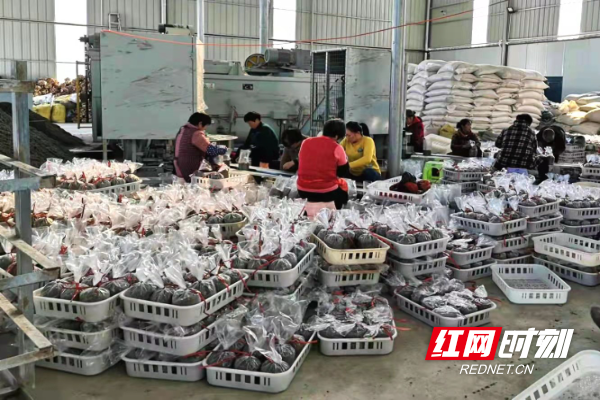 微信图片_20220112153708.jpg