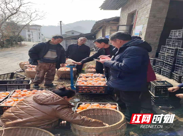 图片19.jpg