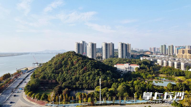 秀峰商圈濱江依山，生態(tài)秀美，宜居宜業(yè)。 均為 通訊員 周思詩 供圖