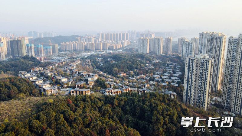 在秀峰山、鵝羊山兩大公園里創(chuàng)新創(chuàng)業(yè)，“公園里的商圈”實至名歸。