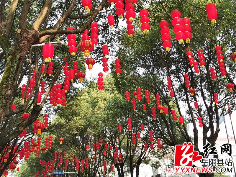 挂灯笼1.jpg