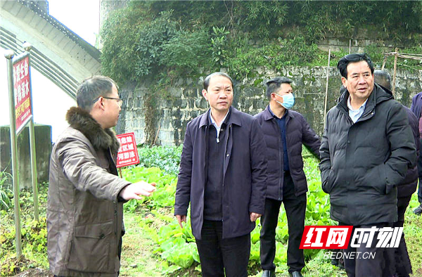 周玉祥开展巡河并调研河堤规划建设。.jpg