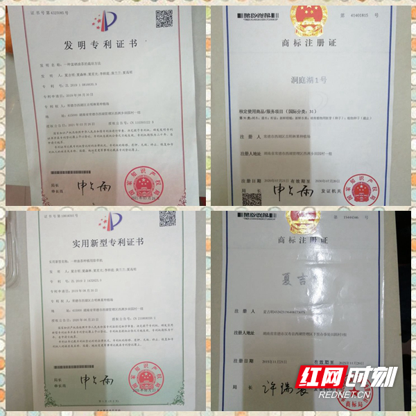 4吉明林果种植场相关国家级发明等专利证书。.jpg