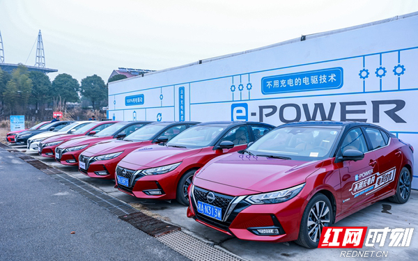 5V8A6382.jpg 5V8A6382.jpg