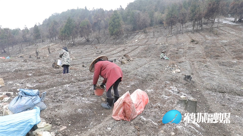 鹤城区：发展中药产业助力乡村振兴（半成品）.mp4_20220118_173255.513.jpg