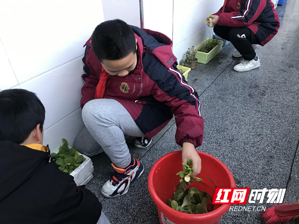 图片21.jpg