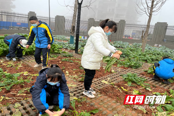 微信截图_20220119130035.png