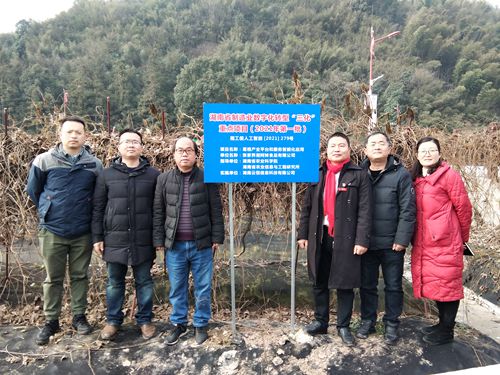 专家团成员罗建军、于超及张家界莓茶发展服务中心邓武成参加科技服务。.jpg