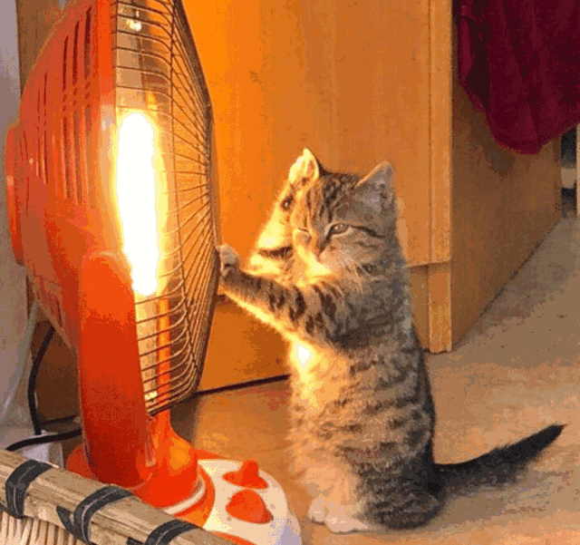 微信图片_20220124151249.gif