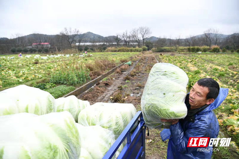 微信图片_20220124201915_副本.jpg