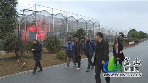 市侨联考察团考察特色农业产业.jpg