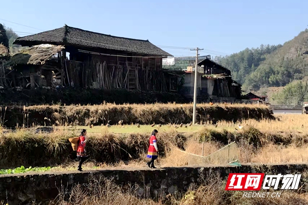 侯家寨古戏台旧址   杨继钢摄.jpg