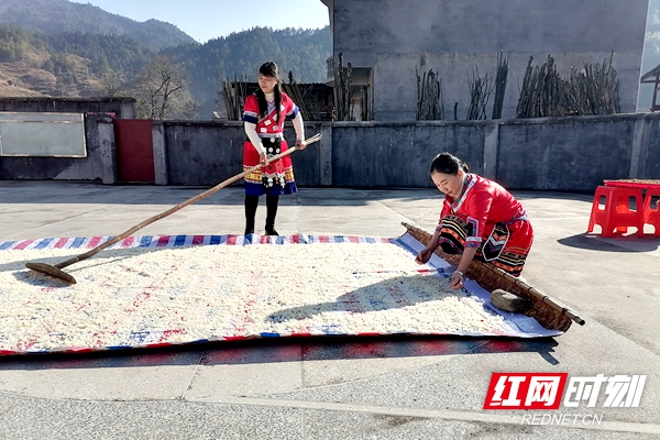 喝油茶是侯家寨苗民传承了上千年的一项生活习俗，每天三餐均可喝油茶。图为苗家妇女在翻晒油茶主料“阴米”。   雷学业摄.jpg