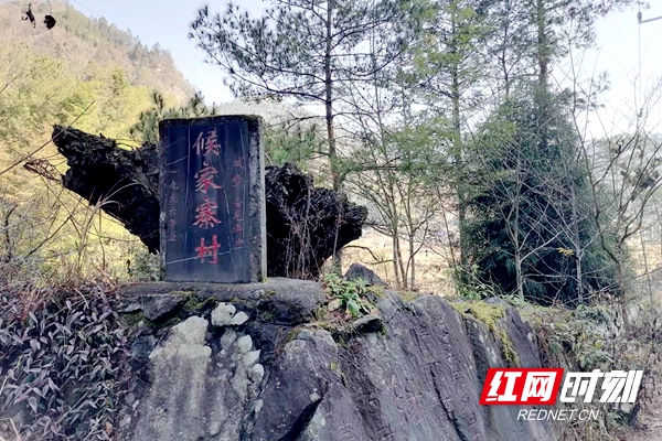 看到侯家寨这块村碑，使人仿佛置身于“水浒”···雷学业摄.jpg