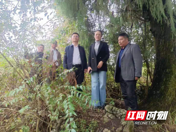 2  县政协副主席朱渝娟（右2）一行为群众寻找人畜饮水水源。.jpg