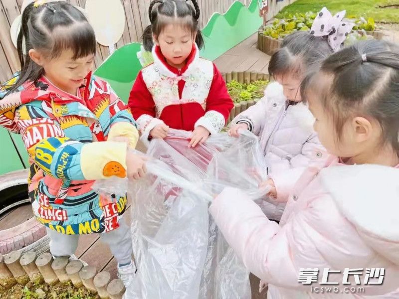 长沙市芙蓉区教育局万国城幼儿园的孩子们给自己的蔬菜地“盖被”。幼儿园劳动课程，让孩子们身体力行实践。