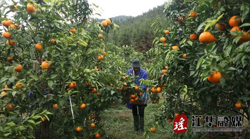 QQ截图20220128103643.png