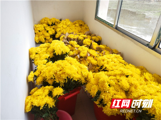 IMG20210207143310_副本.jpg