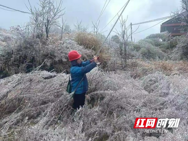 大雪来袭丨娄底供电出动500余人次运维抢修保春节供电