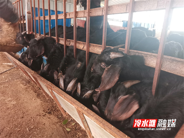 微信图片_20220130090049.jpg 微信图片_20220130090049.jpg