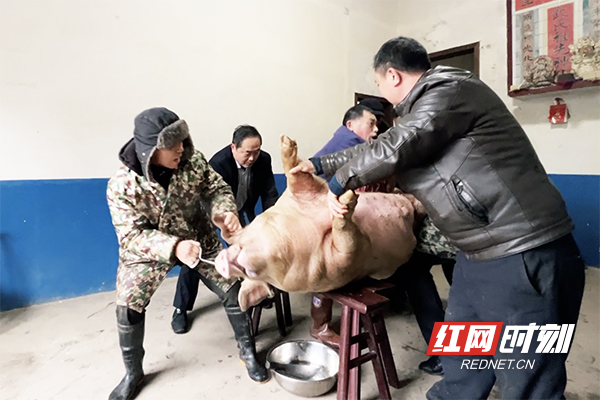 微信图片_20220130233650.jpg