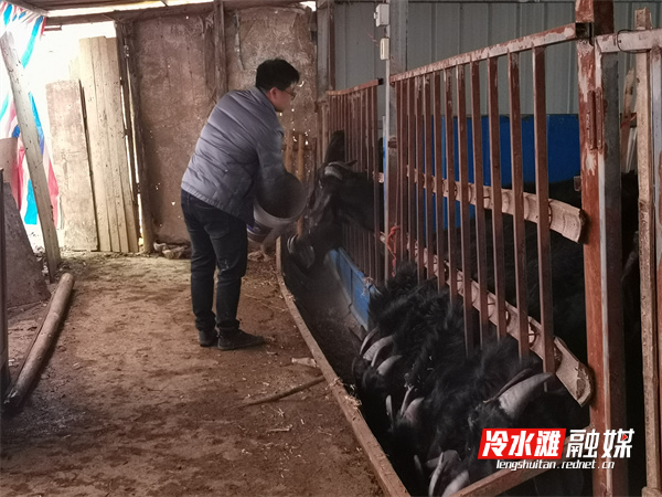 微信图片_20220130090045.jpg 微信图片_20220130090045.jpg