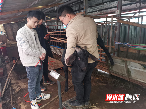 微信图片_20220130090034 (1).jpg 微信图片_20220130090034 (1).jpg