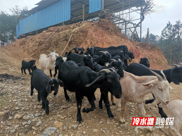 微信图片_20220130090041.jpg 微信图片_20220130090041.jpg