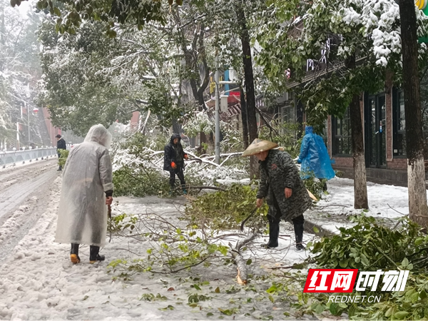 图片8.jpg 图片8.jpg