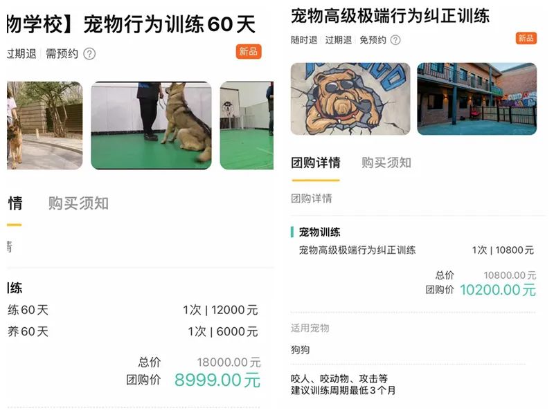 北京部分宠物学校培训课程收费上万元