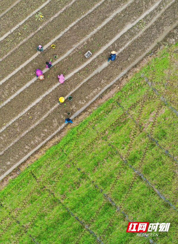DJI_062201.jpg