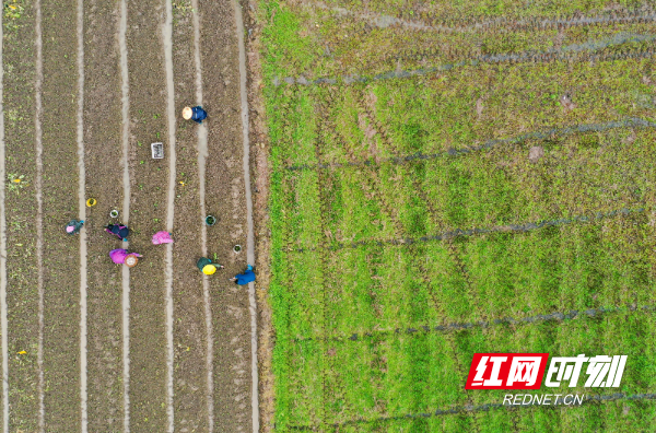 DJI_062301.jpg