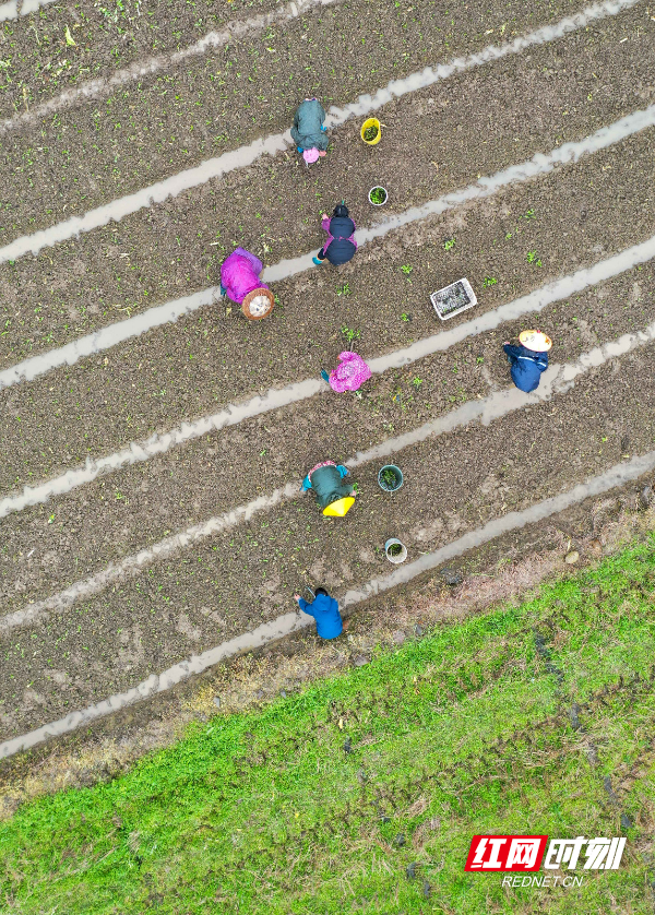 DJI_063001.jpg