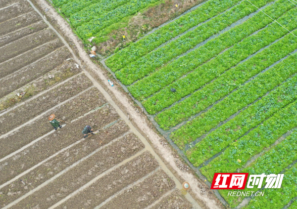 DJI_063301.jpg
